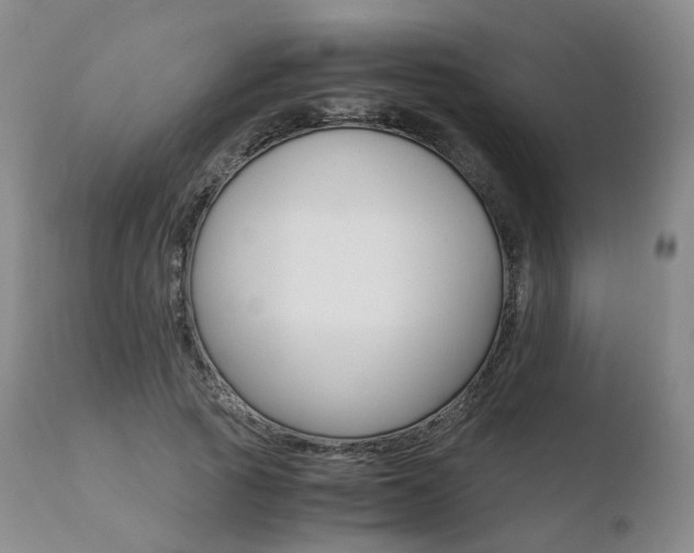 X0000110730737200906121310