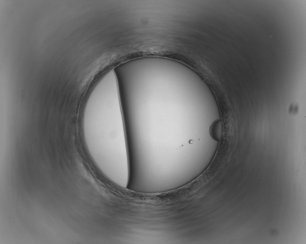 X0000110730738200906121310