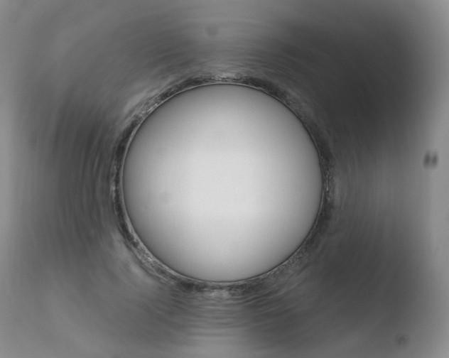X0000110730740200906121310