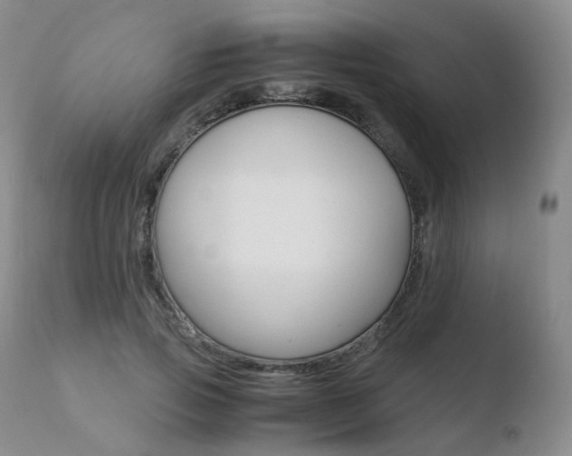 X0000110730741200906121310