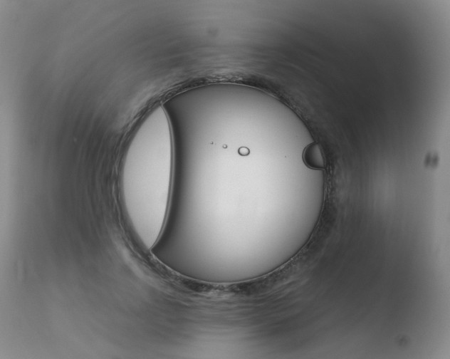 X0000110730742200906121310