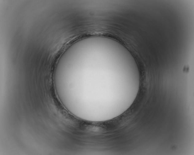 X0000110730743200906121310