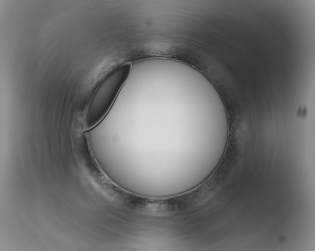 X0000110730744200906121310