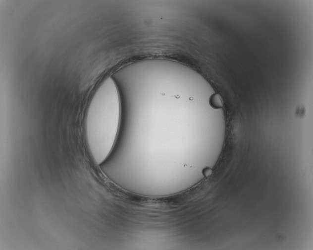 X0000110730746200906121310