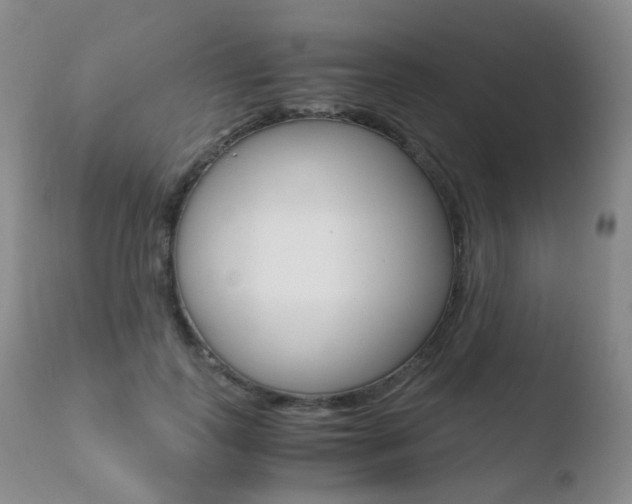 X0000110730747200906121310