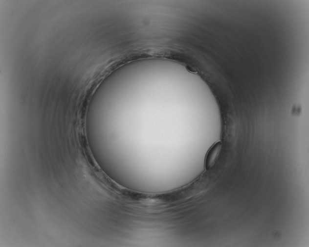 X0000110730748200906121310