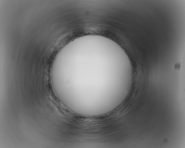 X0000110730749200906121310