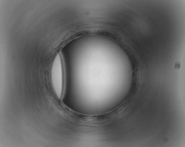 X0000110730750200906121310