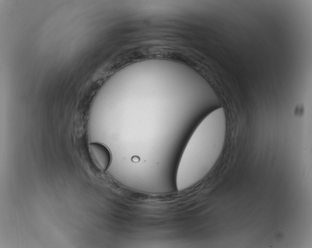 X0000110730751200906121310