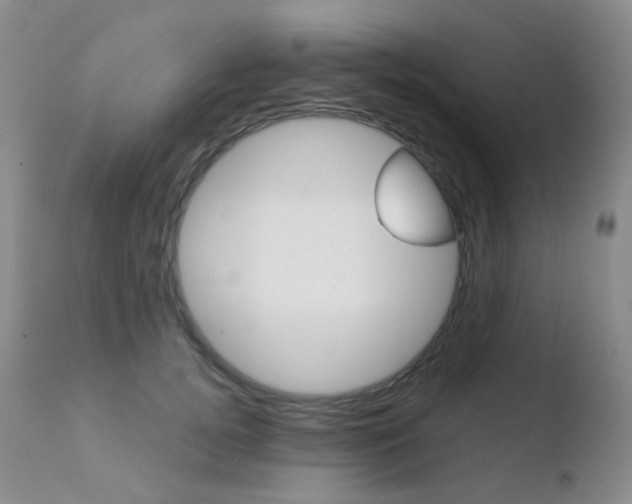 X0000110730752200906121310