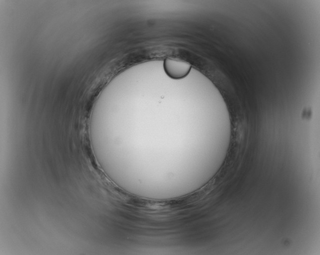 X0000110730753200906121310