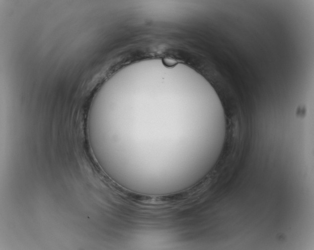 X0000110730754200906121310