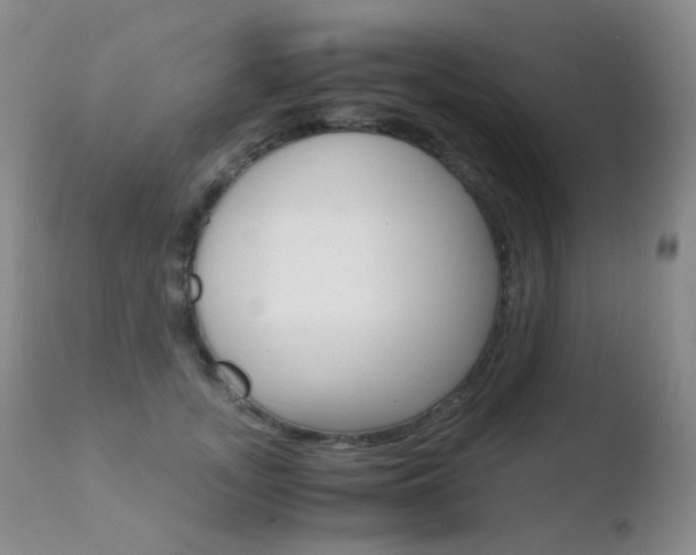 X0000110730755200906121310