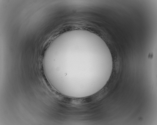 X0000110730757200906121310