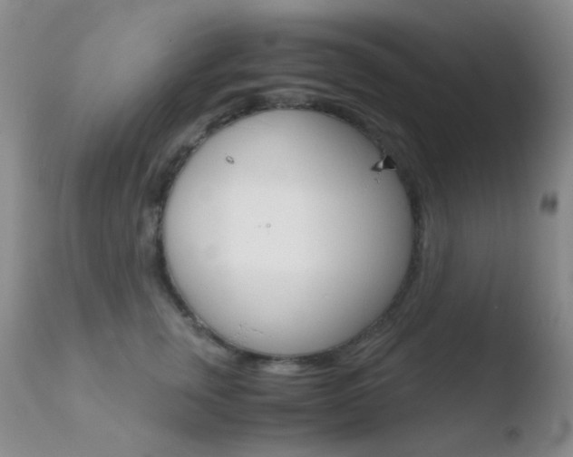X0000110730759200906121310
