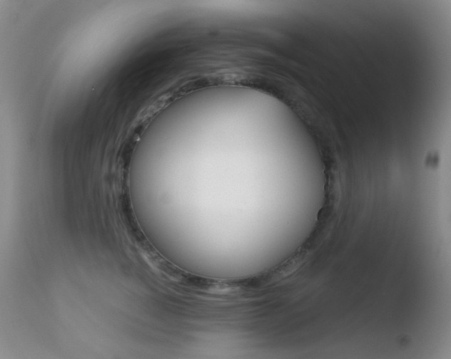 X0000110730760200906121310