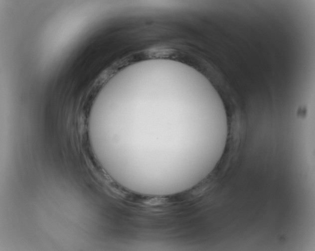 X0000110730761200906121310
