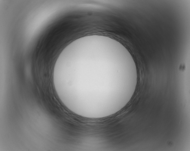 X0000110730762200906121310