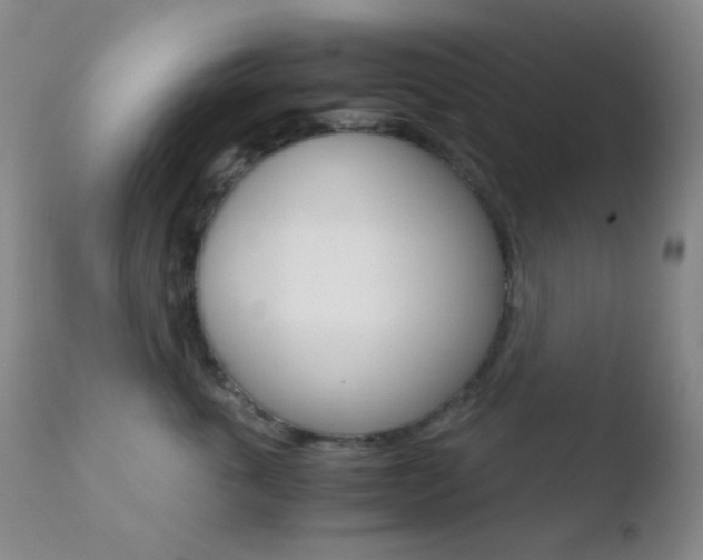 X0000110730763200906121310