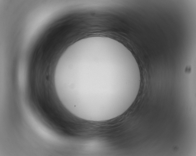 X0000110730764200906121310
