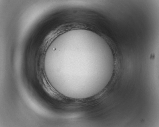 X0000110730765200906121310