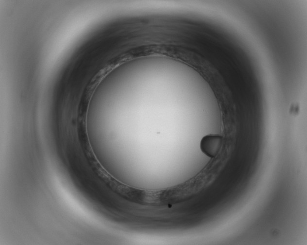 X0000110730766200906121310