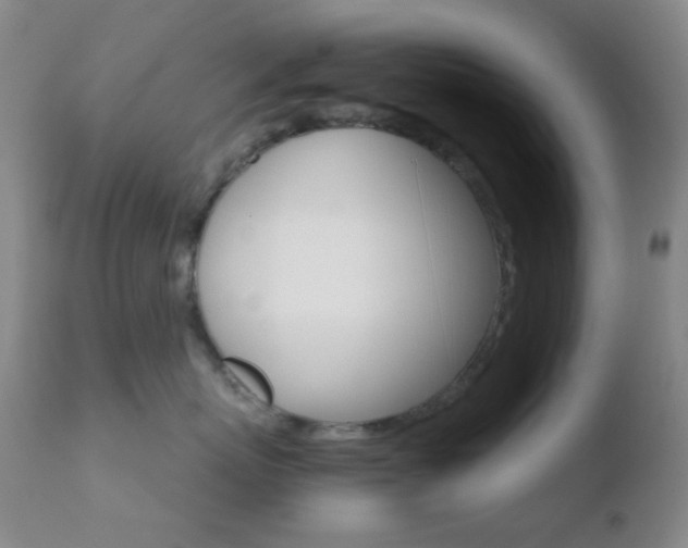 X0000110730767200906121310