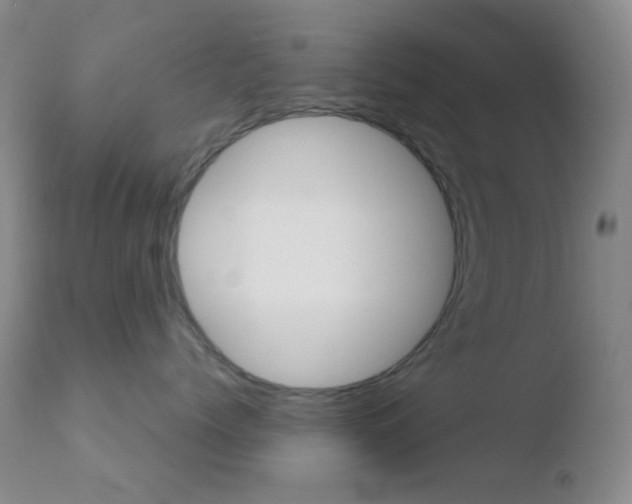 X0000110730768200906121310