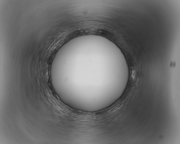 X0000110730771200906121310