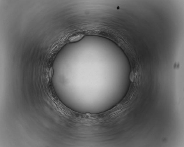 X0000110730772200906121310