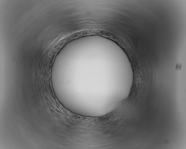 X0000110730773200906121310