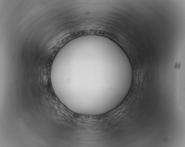 X0000110730774200906121310