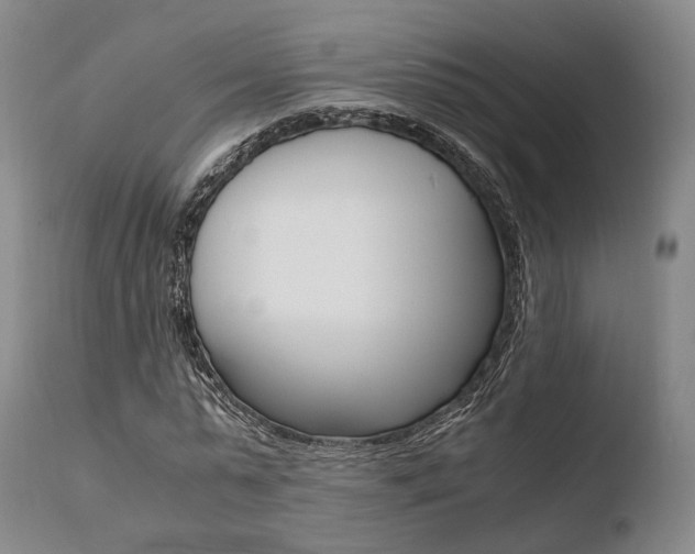 X0000110730775200906121310