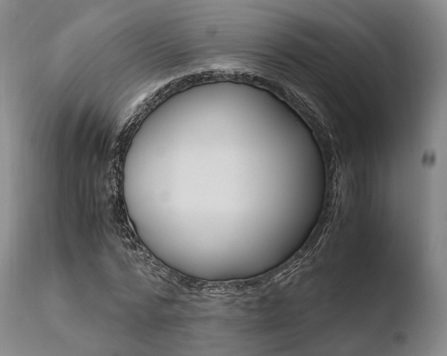 X0000110730776200906121310