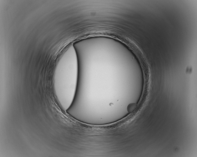 X0000110730777200906121310