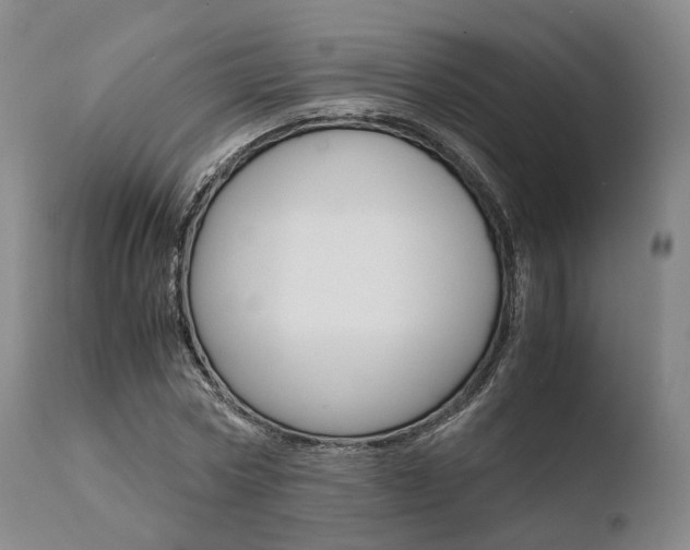 X0000110730778200906121310