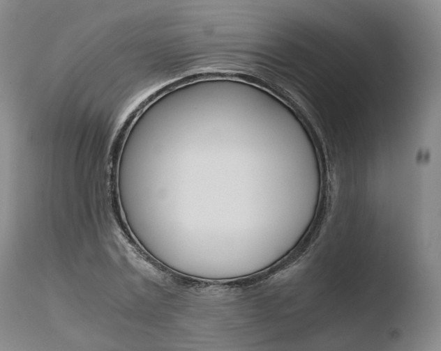 X0000110730779200906121310
