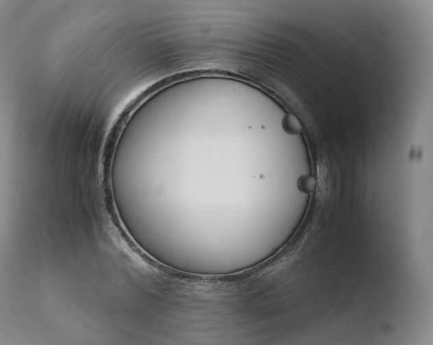 X0000110730780200906121310