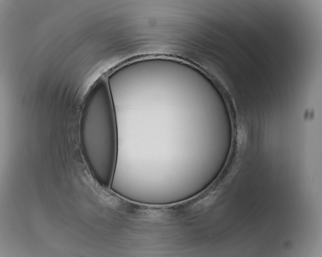 X0000110730781200906121310