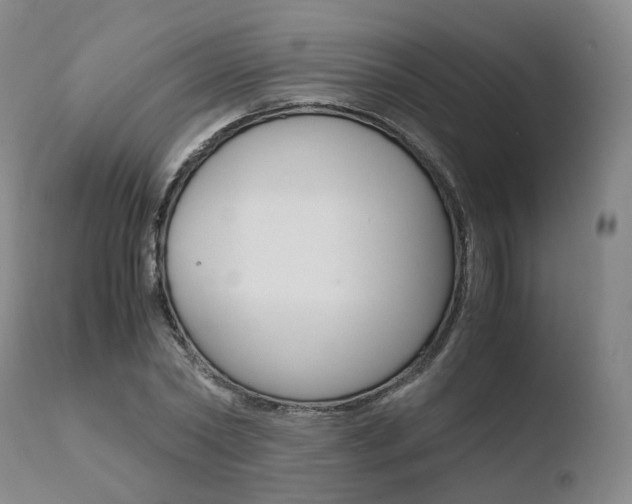 X0000110730782200906121310
