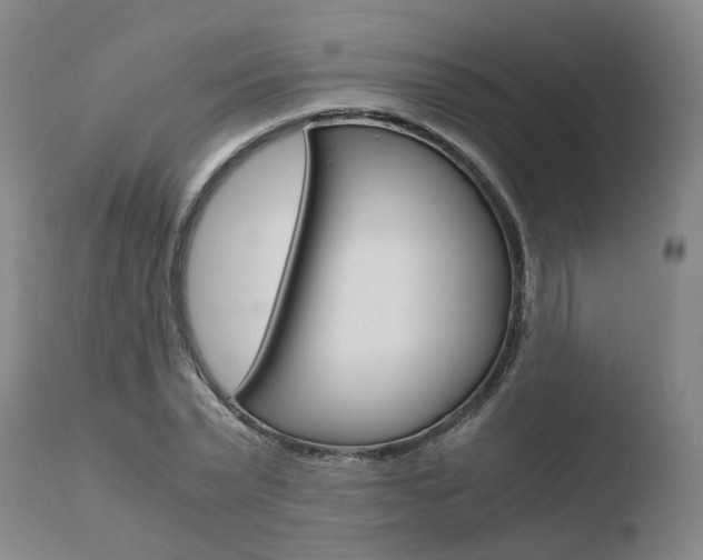 X0000110730783200906121310