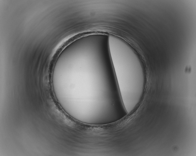 X0000110730784200906121310