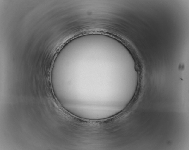 X0000110730785200906121310