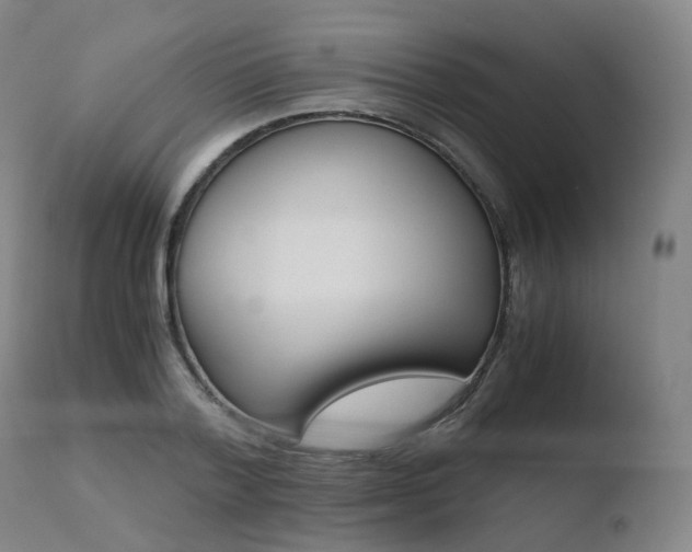 X0000110730788200906121309
