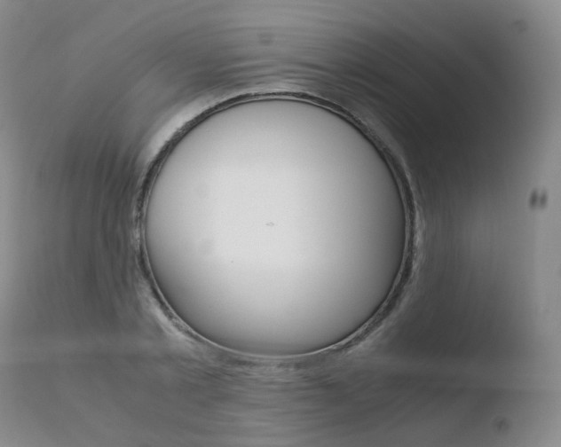X0000110730789200906121309