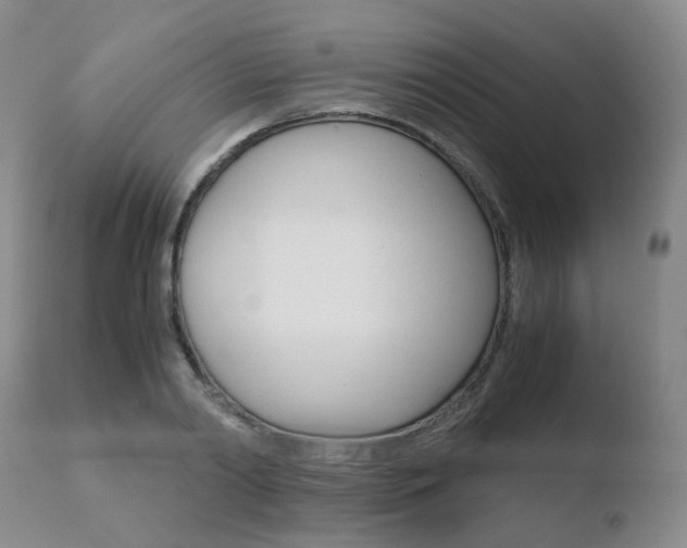 X0000110730790200906121309