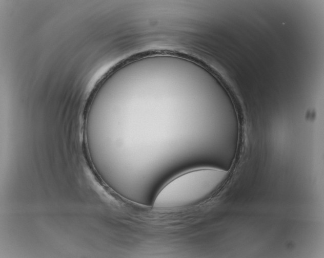X0000110730791200906121309