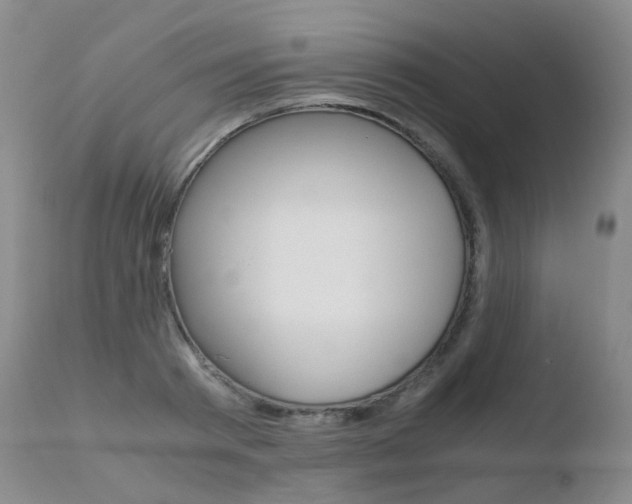 X0000110730793200906121309