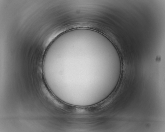 X0000110730794200906121309
