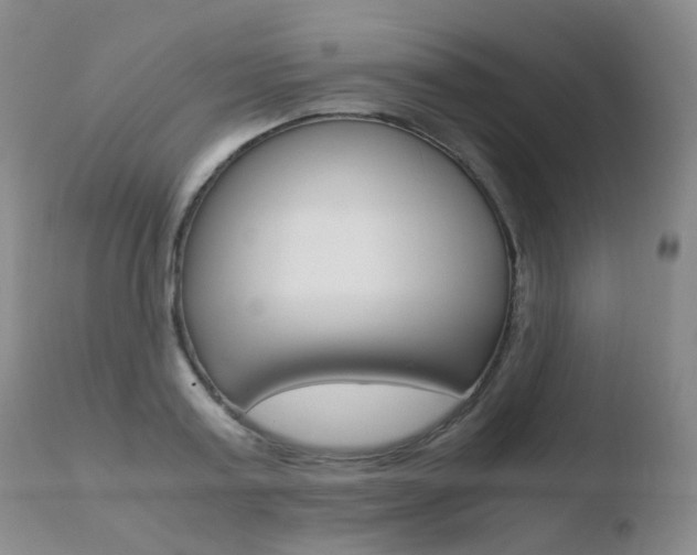 X0000110730795200906121309